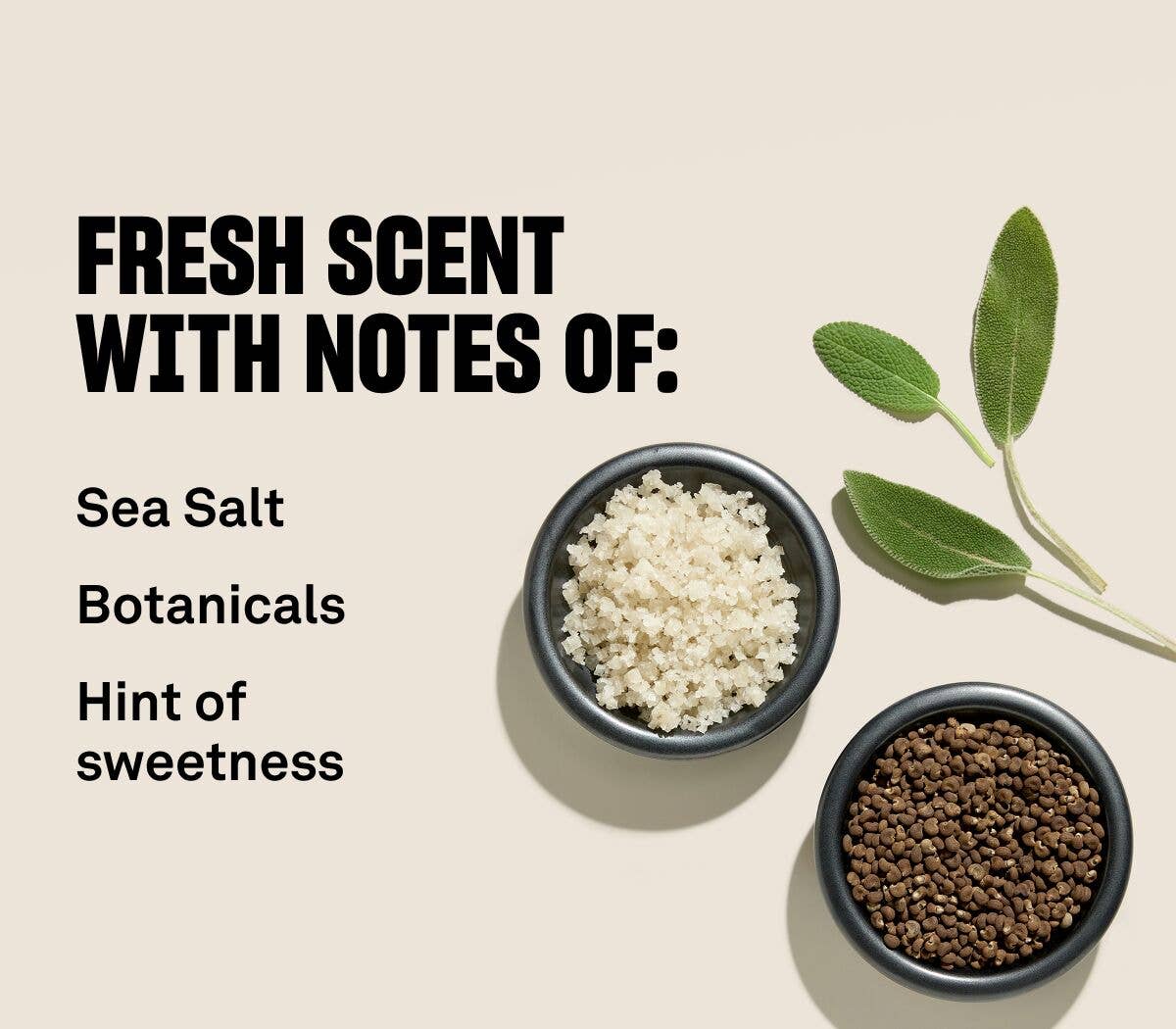 BABE ORIGINAL - Wholesale Hair Serum - Babe Original Densifying Hair Serum13