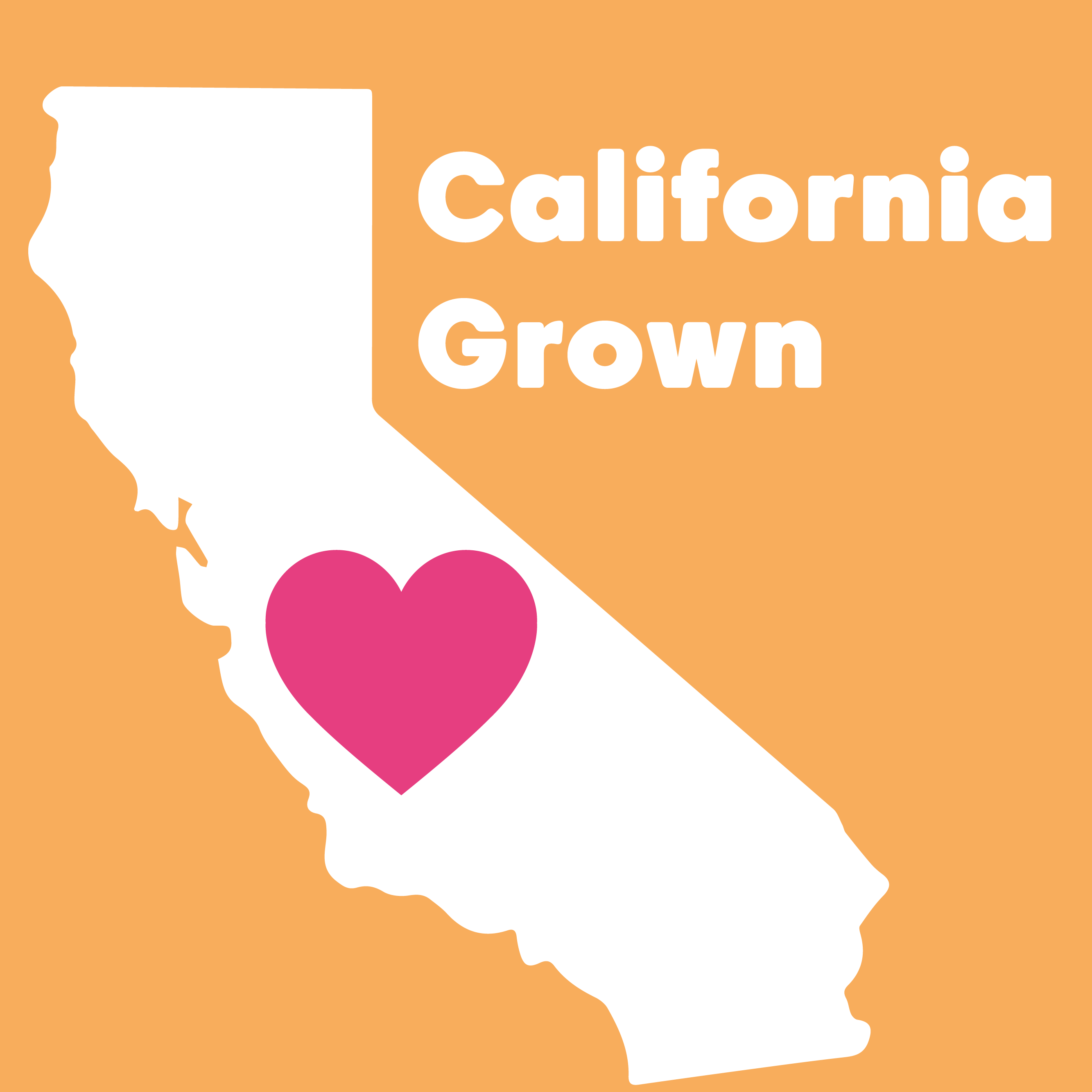 Wilderness Poets - Wholesale Nut Butter - Organic Roasted Almond Butter4