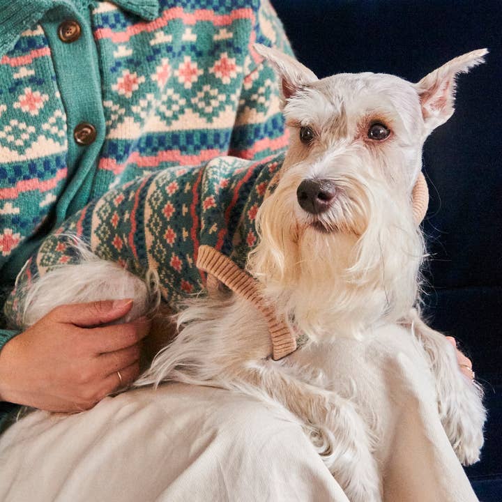 Nooee pet - Wholesale Pet Sweater - Dog - Nooee Pet X Demy Lee Wool Jacquard Sweater