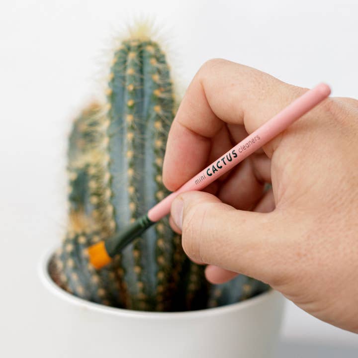 Bubblegum Stuff US - Wholesale Cleaning Brush - Mini Cactus Cleaner Brushes