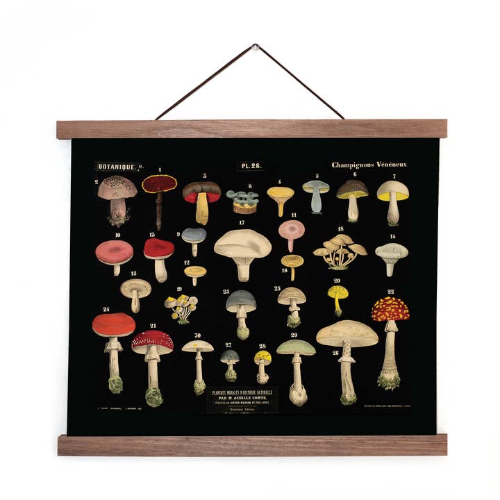 Curious Prints - Vendita all'ingrosso Stampa artistica - Stampa vintage a forma di fungo nero 26 con cornice opzionale7