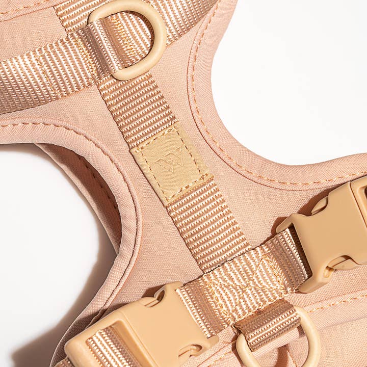 Wild One - Wholesale Pet Harness - Dog - Harness36