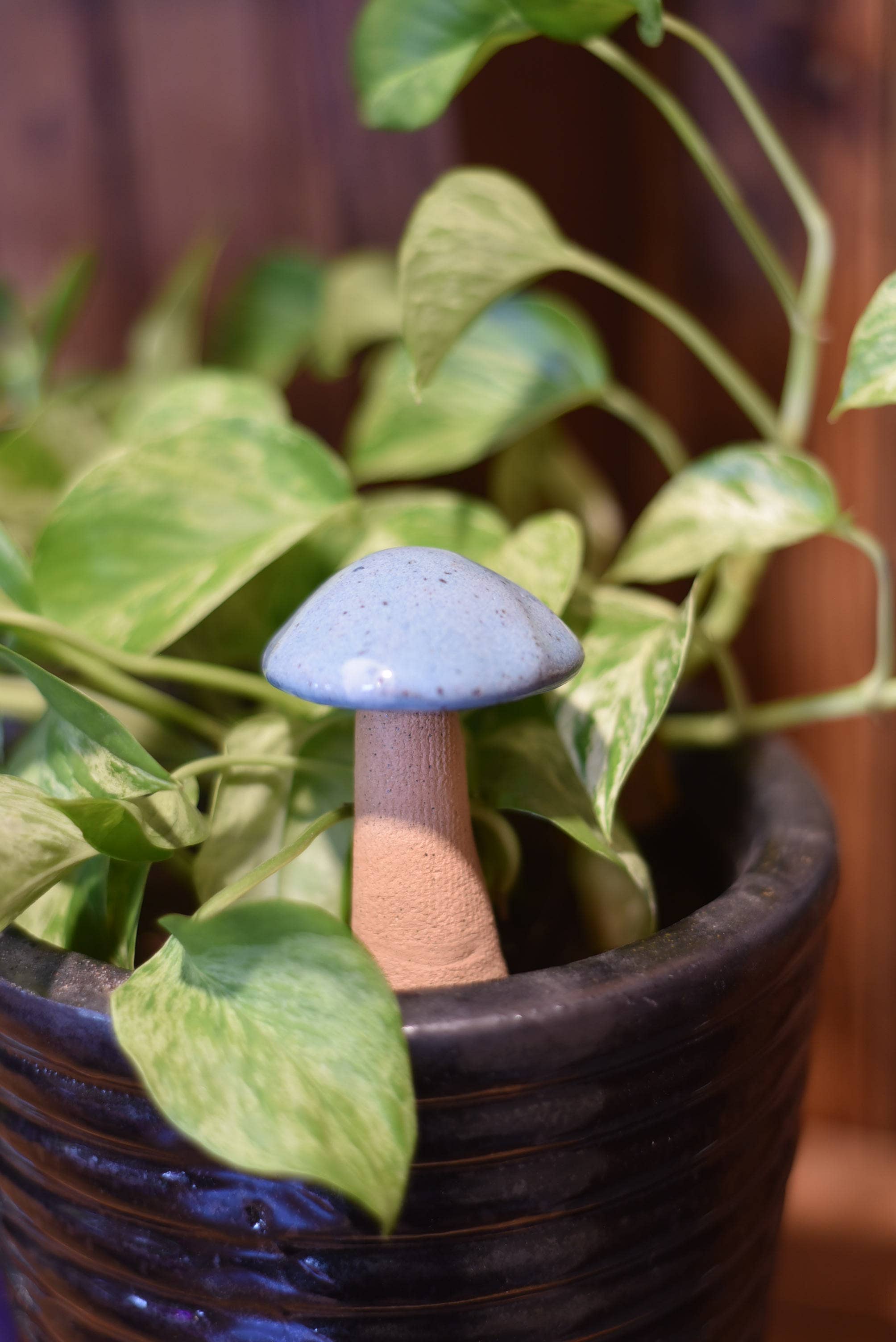 Mud & Maker – wholesale Dekorativt bordsobjekt – Whimsy Svampar - 5-7"5