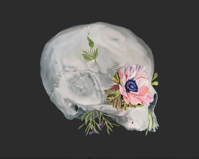 Trisha Thompson Adams - Wholesale Kunstprint - Floral Skull Flower Anatomy Art Print0