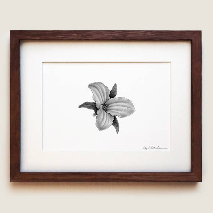 Trillium | Stampa d'Arte per la vendita all'ingrosso da parte di ElizabethAnnFrancis