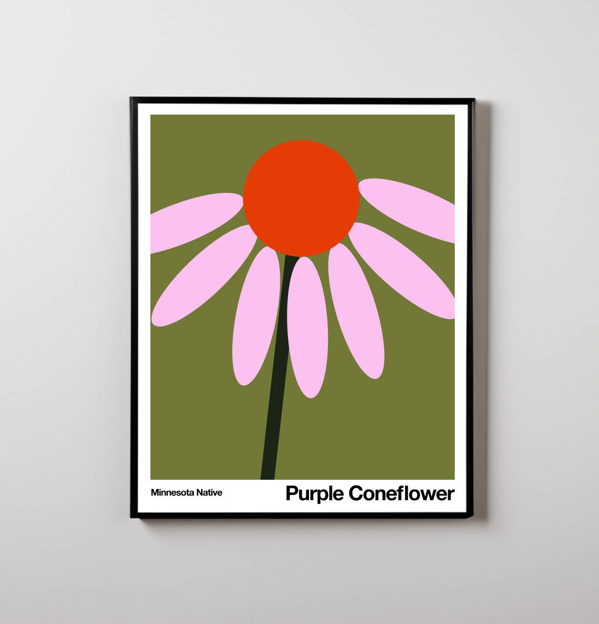 Little Dipper Art - Wholesale Art Print - Purple Coneflower | Art Print | Minnesota Native Plant