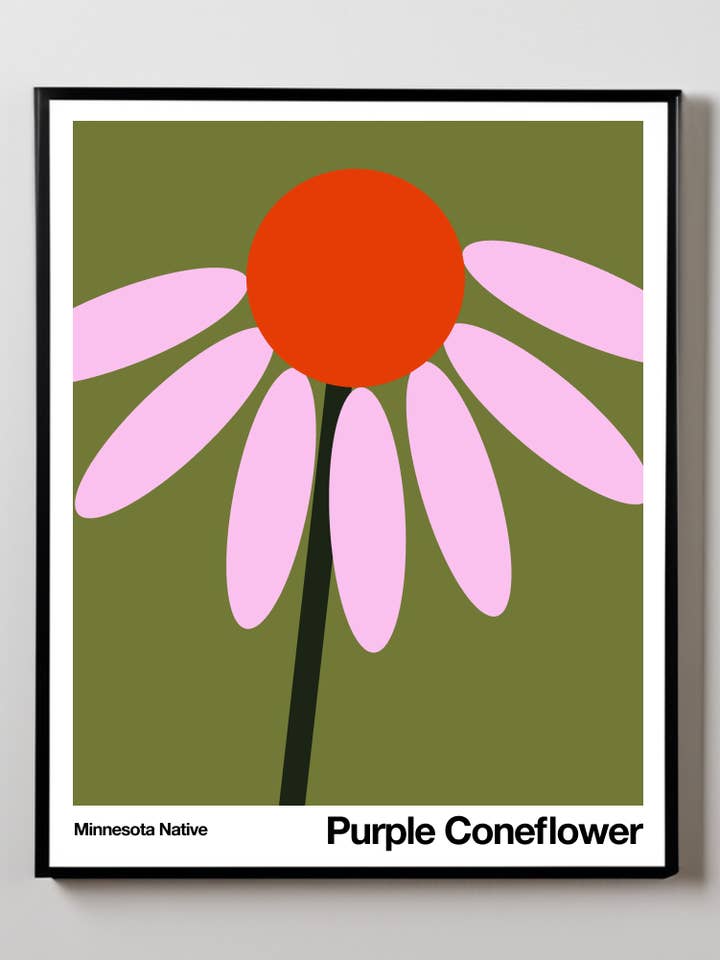 Échinacée pourpre | Impression artistique | Plante indigène du Minnesota pour la vente par Little Dipper Art
