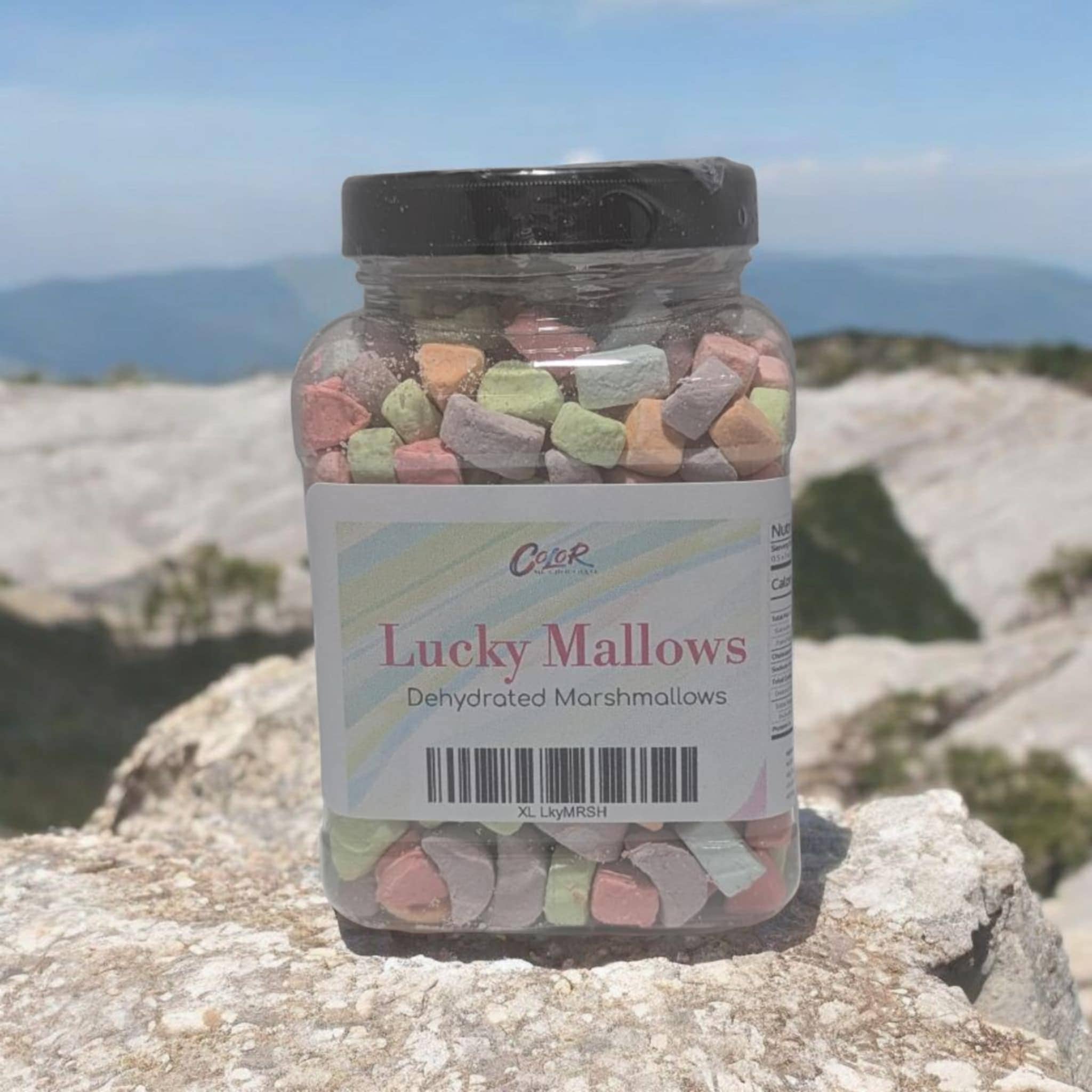 Color Me Chocolate - Wholesale Marshmallow - Lucky Mallow Jar (flavored dehydrated Marshmallows)0