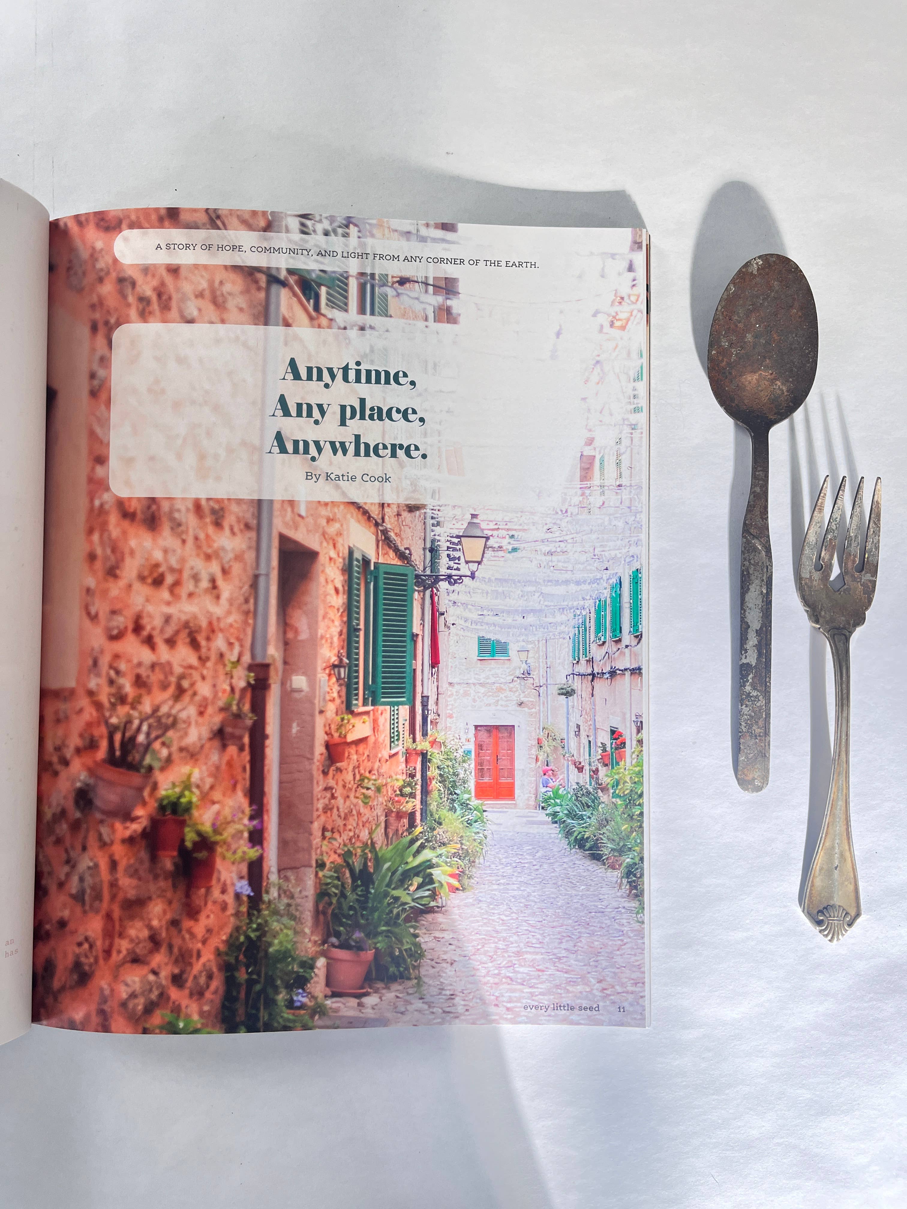 Every Little Seed - Wholesale Magazine - Awakening7