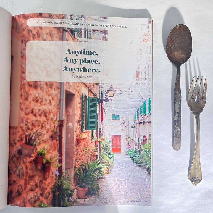 Every Little Seed - Wholesale Magazine - Awakening7