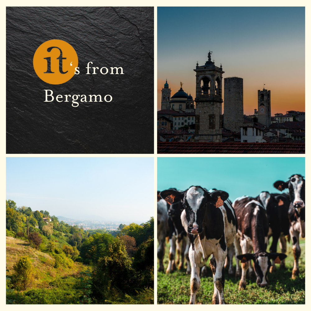 Gourm.it - Wholesale Ingemaakte groenten - Quartirolo Lombardo DOP in olie met kruiden. Italië.1