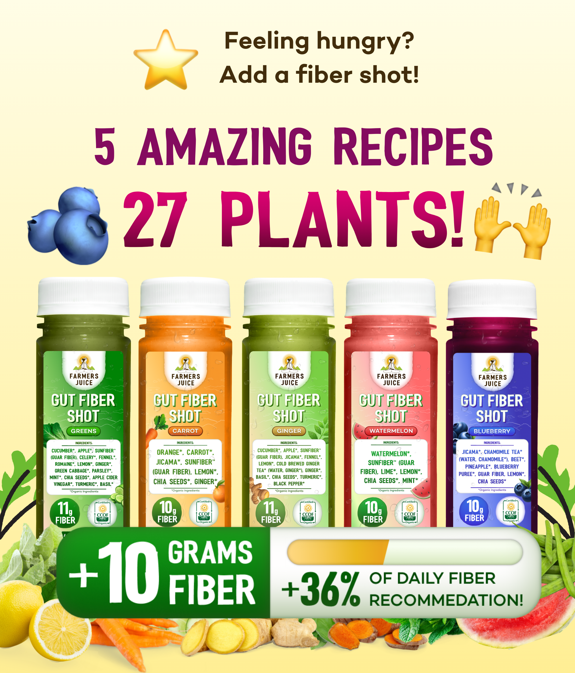 Farmer's Juice - Wholesale Wellness Juice/Tonic - Gut Fiber Shot Blueberry | 24 Shots8