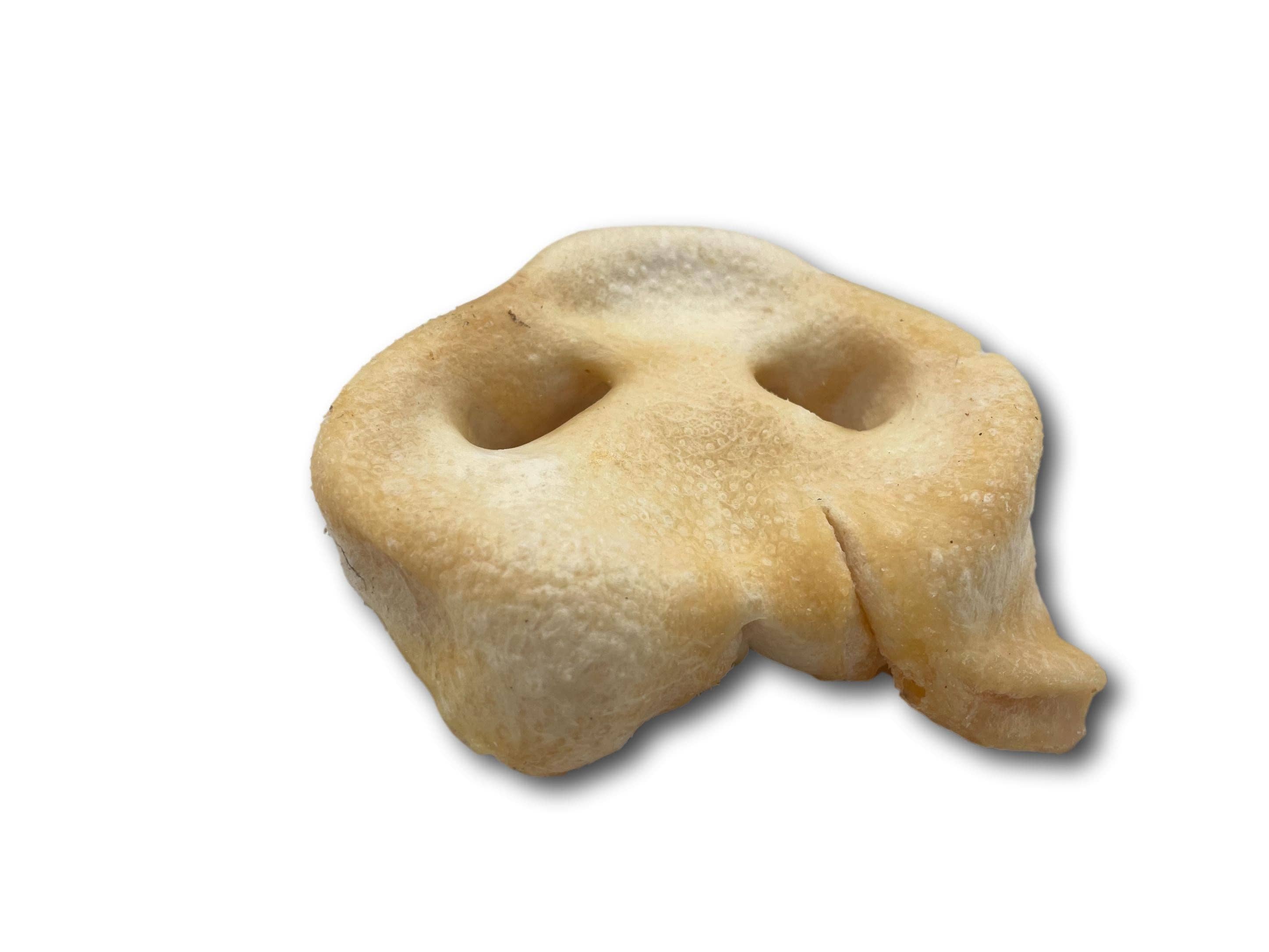 Healthy Dog Chews - Wholesale Pet Chew Toy - Dog - Pig Snout (PE0101SN)2