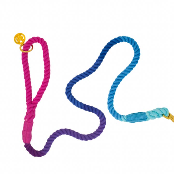 Pixie Rope Dog Leash | Dog Leash | Ombre Leash for wholesale by Pink Papyrus | Premium, Durable, & Stylish Dog Products