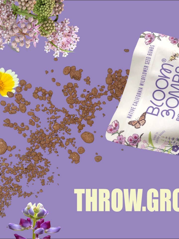Bombes de Fleurs en Vrac-1000 Pi²-Boules de Graines de Fleurs Sauvages Natives pour la vente par Bloom Bombs