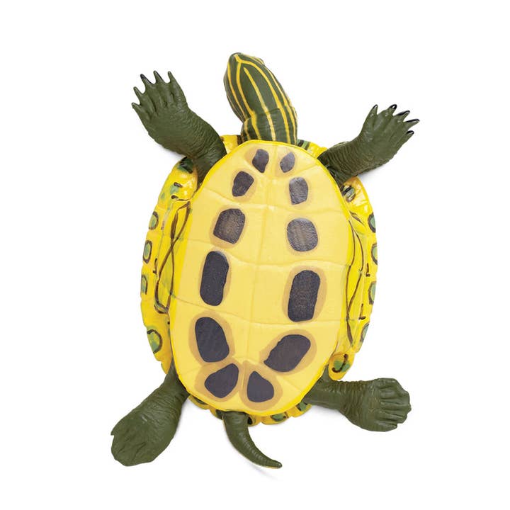 Safari Ltd. - Wholesale Figurine Toy - Kids - Red - Eared Slider Turtle - 2695293