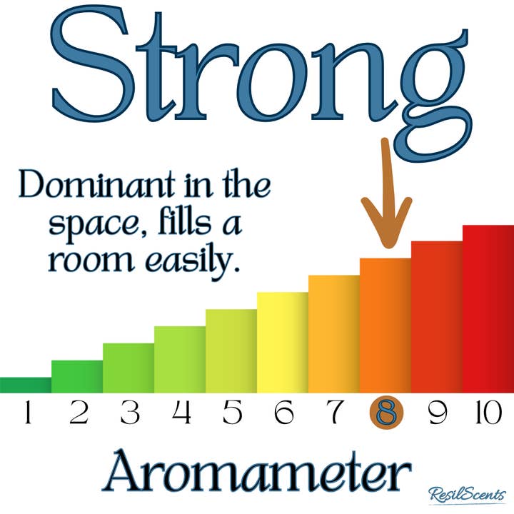 ResilScents WholeSale - Wholesale Travel Candles - Cinnamon Spice ResilDuo™ Bundle – Tranquil Candle (8oz) + Roll-On Oil | Cozy Autumn Scent15
