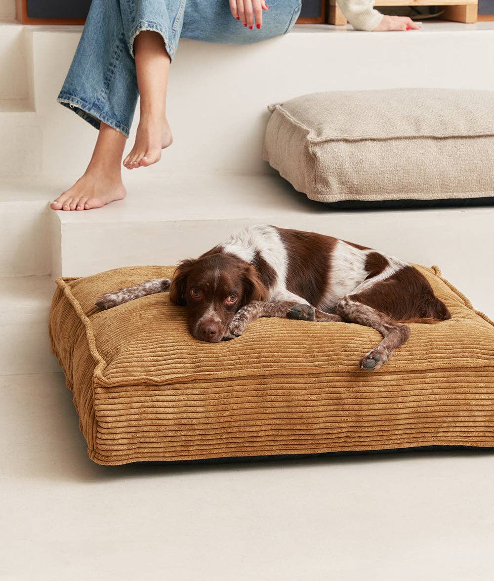 CAFIDE - Wholesale Bed voor huisdieren - Hond - Hondenbed van ribfluweel met afneembare hoes, Cuadra1