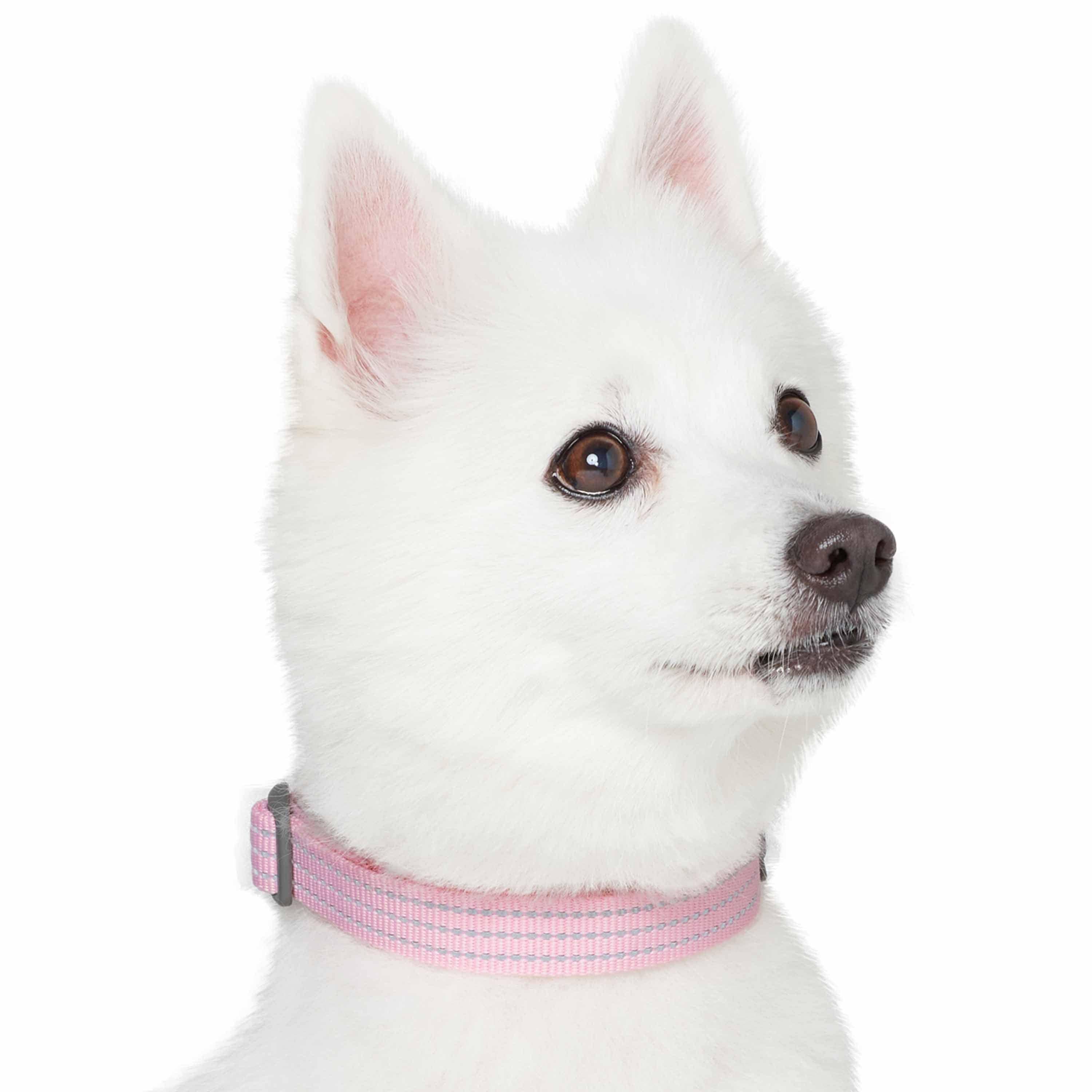 Blueberry Pet - Venta al por mayor Collar - Perros - Collar reflectante para perros Better Basic en 8 colores7