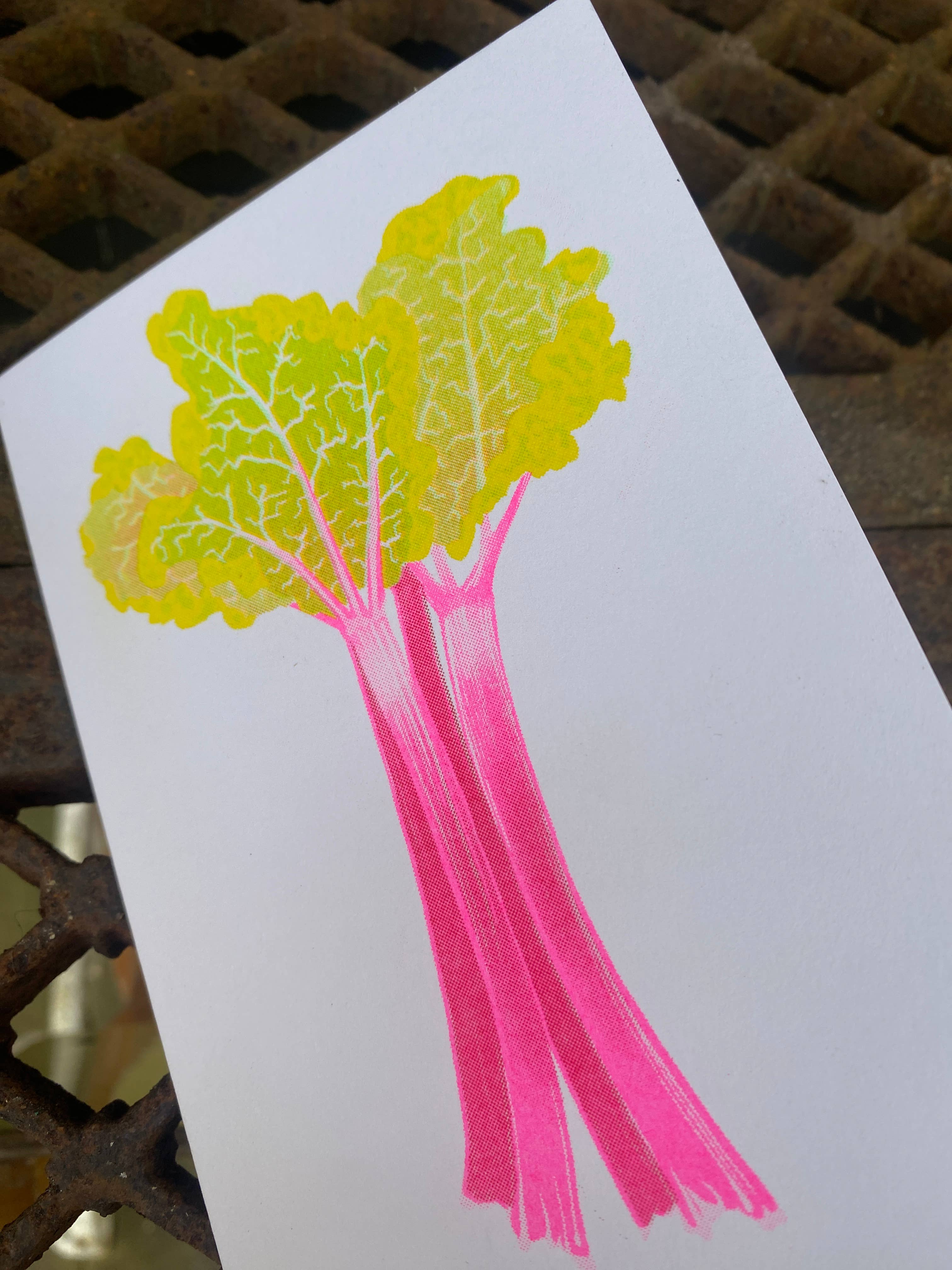 Petra Boase Ltd (US Duties Paid) - Wholesale Everyday Greeting Card - Grow Cards (Pack of 6) Rhubarb1