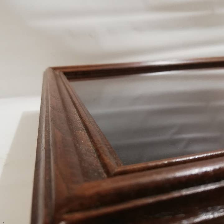 Display case in wood and glass for wholesale by Coins&More