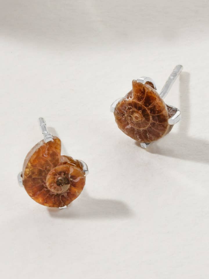 Ammonite Sterling Silver Post örhängen för wholesale av Luna Norte
