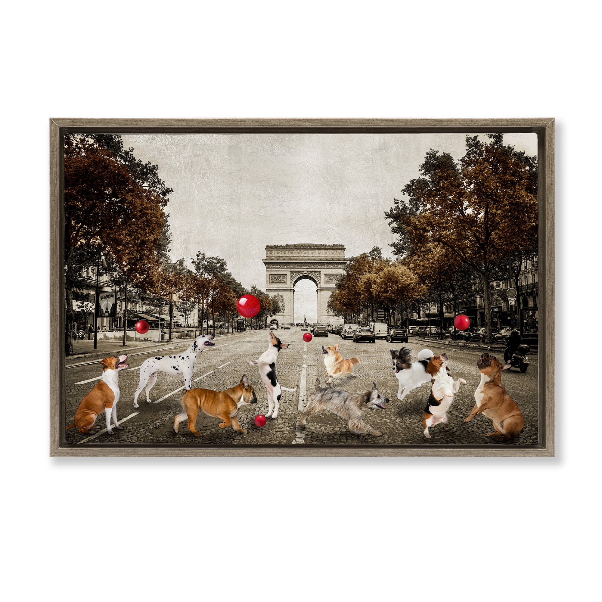 Stupell Industries - Wholesale Wall Sign - Dogs Playing Among Architecture - Framed Wall Art23