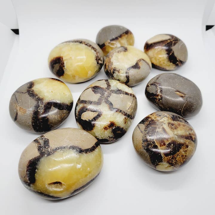 Septarian Dragon Stone Palmstone Metaphysical Crystals Reiki for wholesale by The Raven's Edge