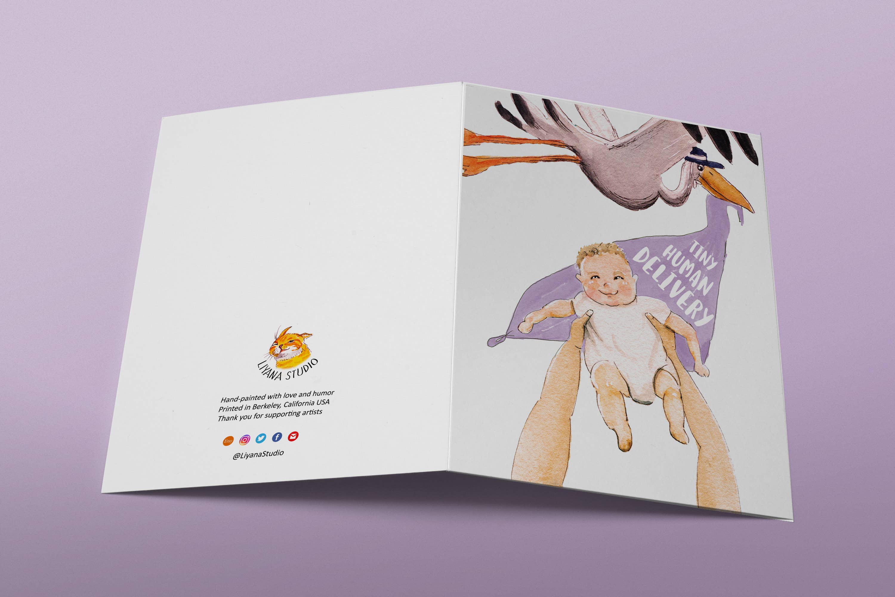 Liyana Studio - Venta al por mayor Tarjetas de bebé - Stork Baby Deliver Light - Divertida tarjeta de bebé1