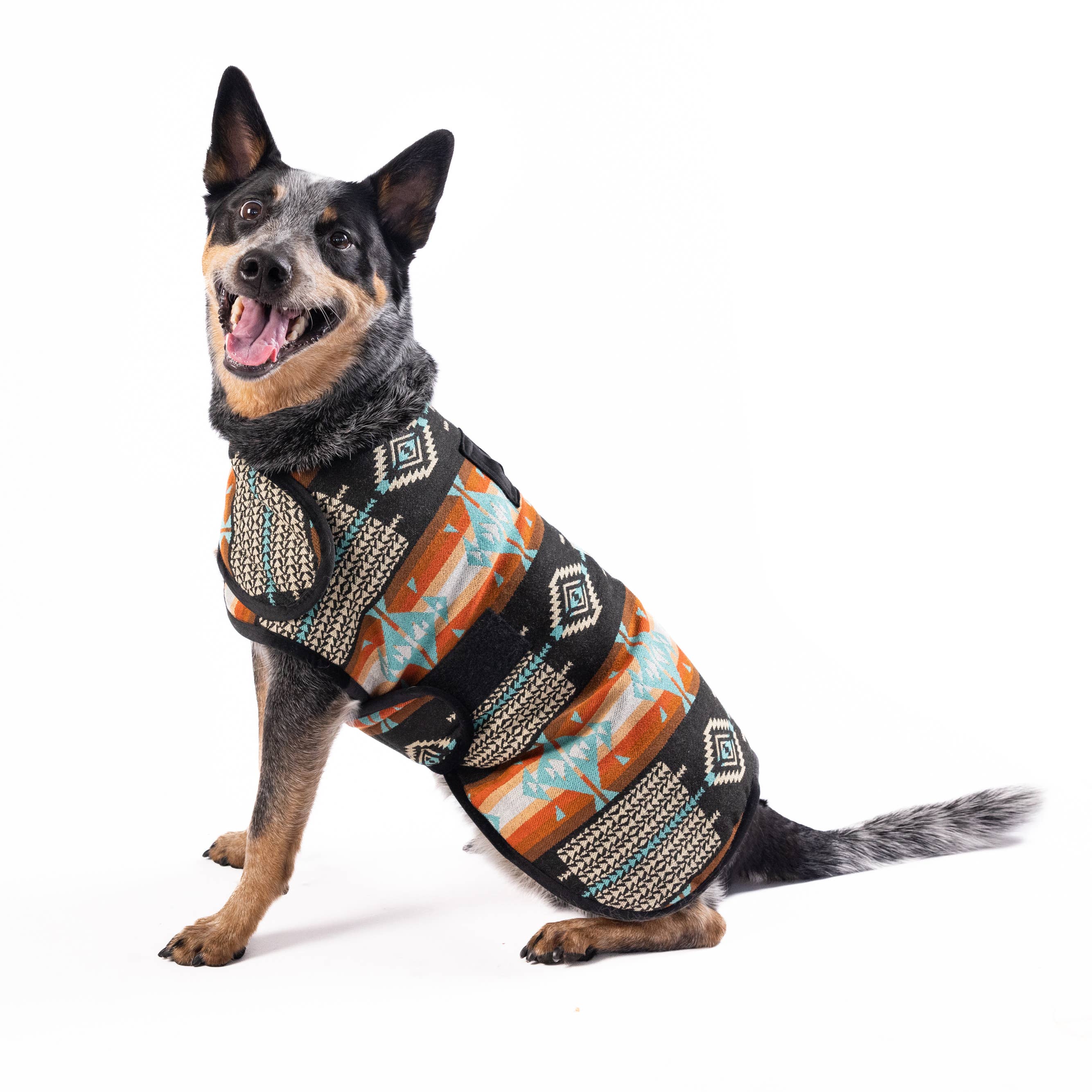 CHILLY DOG LLC - Wholesale Pet Coat - Dog - Black Canyon Dog Blanket Coat3