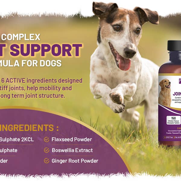 Prowise Healthcare - Wholesale Pet Supplement - Dog - Dog Joint Supplement UK Manufactured I 150 Chicken Flavor Ch