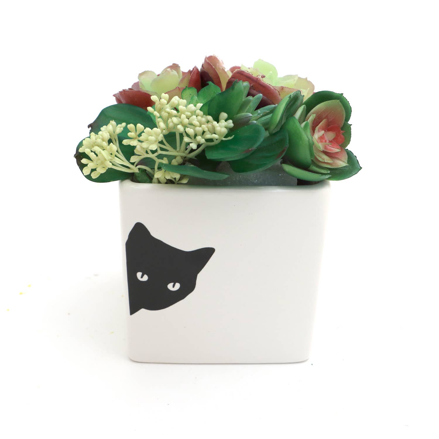 Lenny Mud - Wholesale Plant Pot - Cat planter, small indoor planter, gift for cat lover3