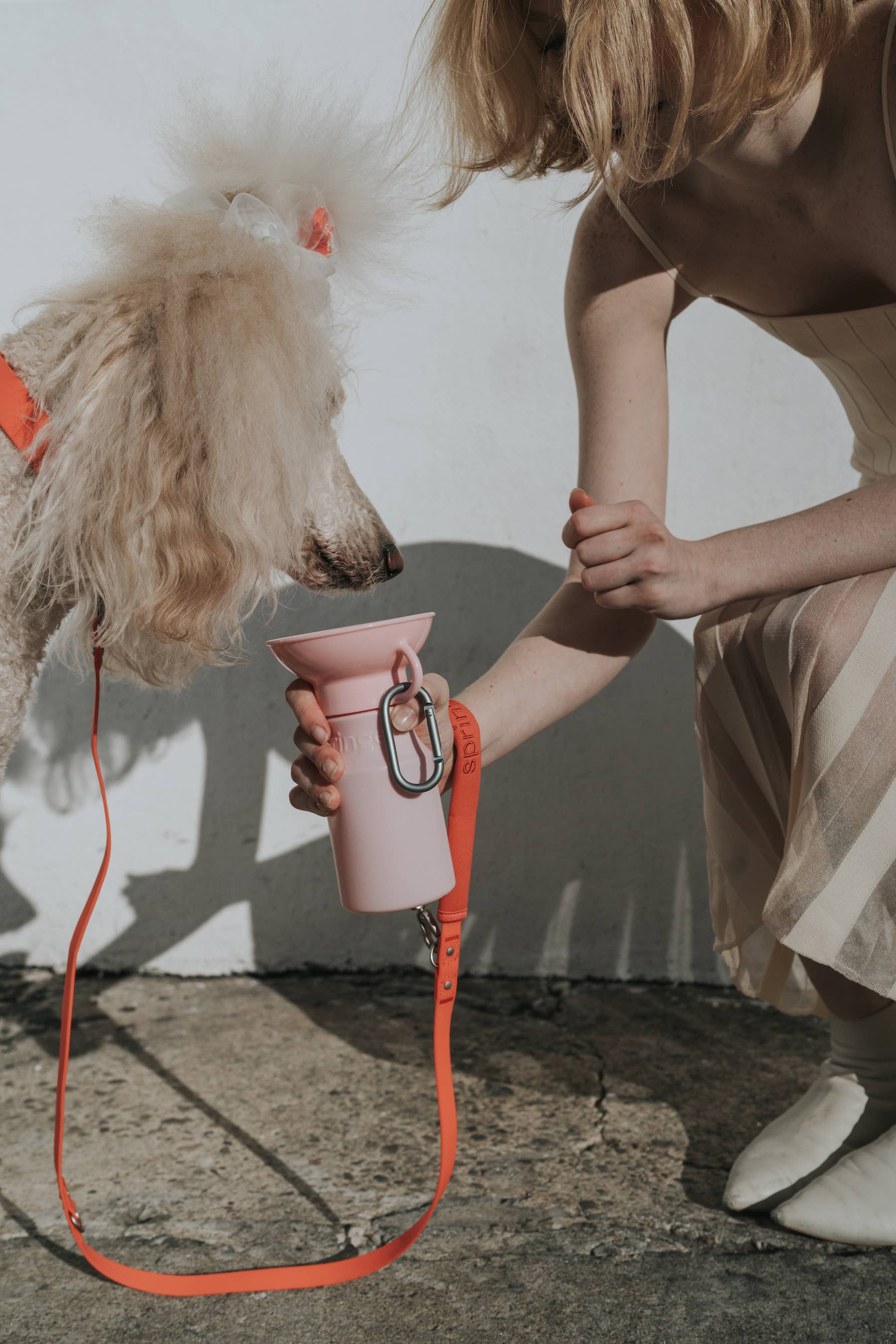 Springland Pets - Wholesale Pet water bottle – Dog - Dog Travel Water Bottle - 15oz Mini (12 Pack)3