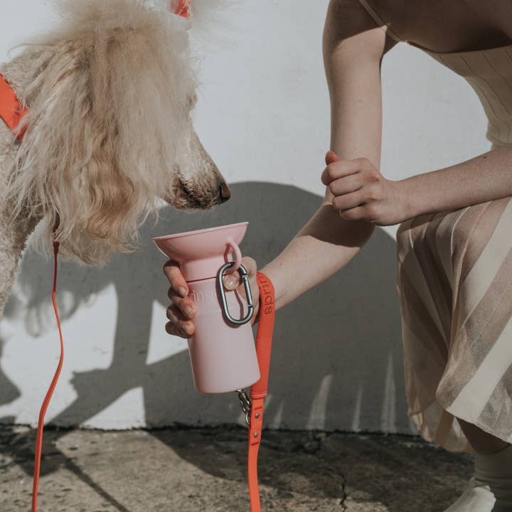 Springland Pets - Wholesale Pet Water Bottle - Dog - Dog Travel Water Bottle - 15oz Mini (12 Pack)6