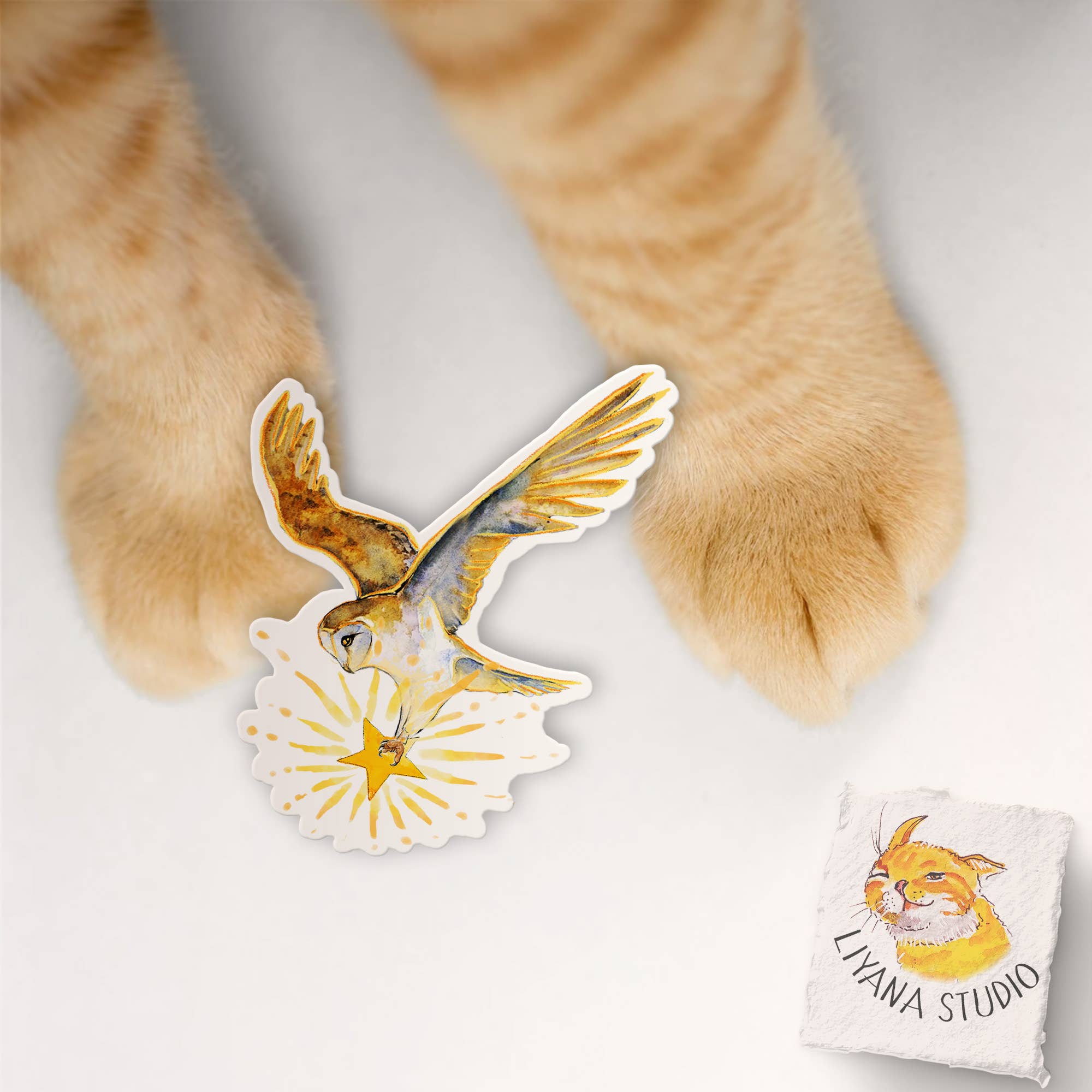 Liyana Studio - Wholesale Sticker - Barn Owl Star - Waterproof Vinyl Sticker5