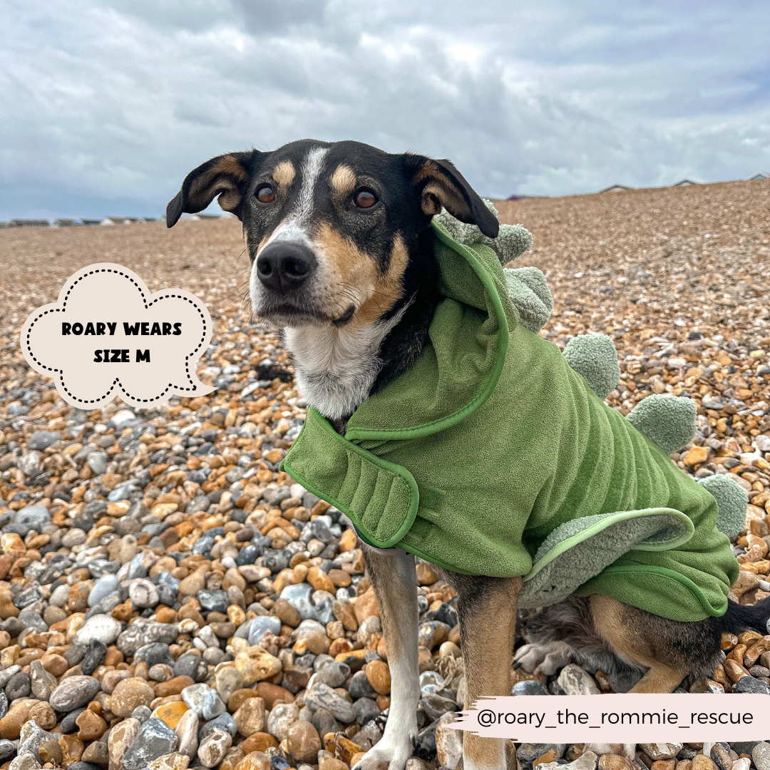 Cocopup London - Wholesale Pet Hoodie - Dog - Dinopup Drying Robe11