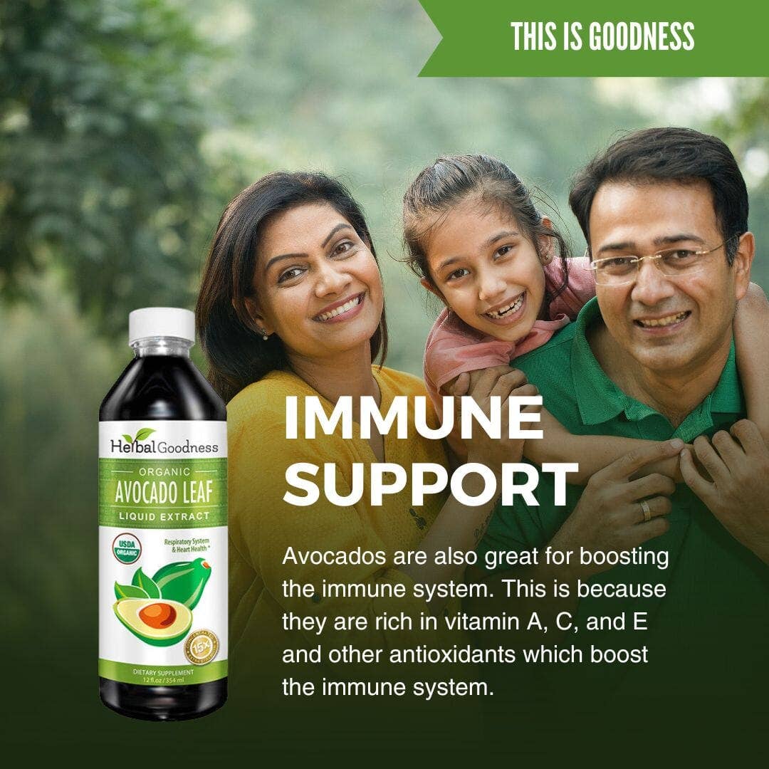 Herbal Goodness – Engroshandel Kosttilskud og vitaminer – Avocadobladsekstrakt 12oz - Herbal Goodness6