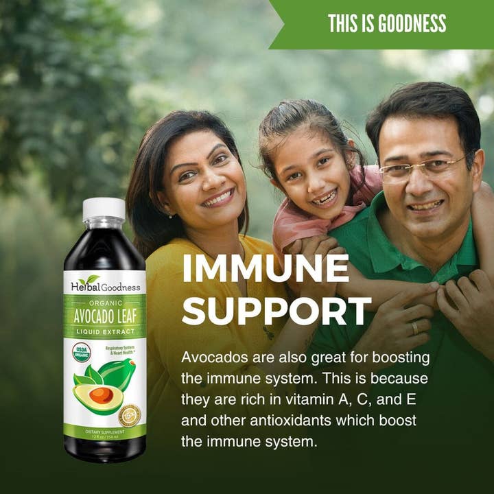 Herbal Goodness – Engroshandel Kosttilskud og vitaminer – Avocadobladsekstrakt 12oz - Herbal Goodness6