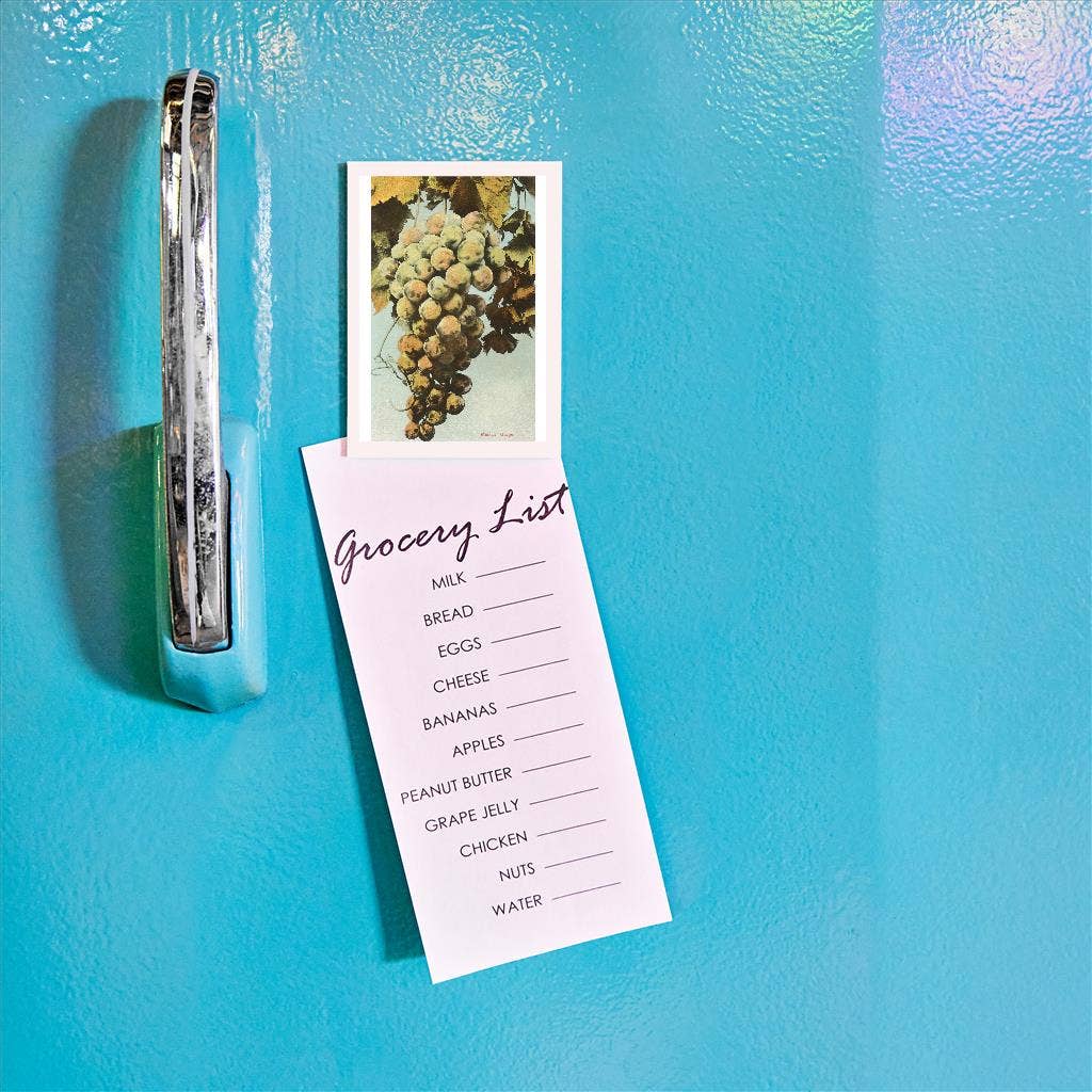 Found Image Press - Wholesale Magnet - Magnet FR-24 Muscat Grapes1