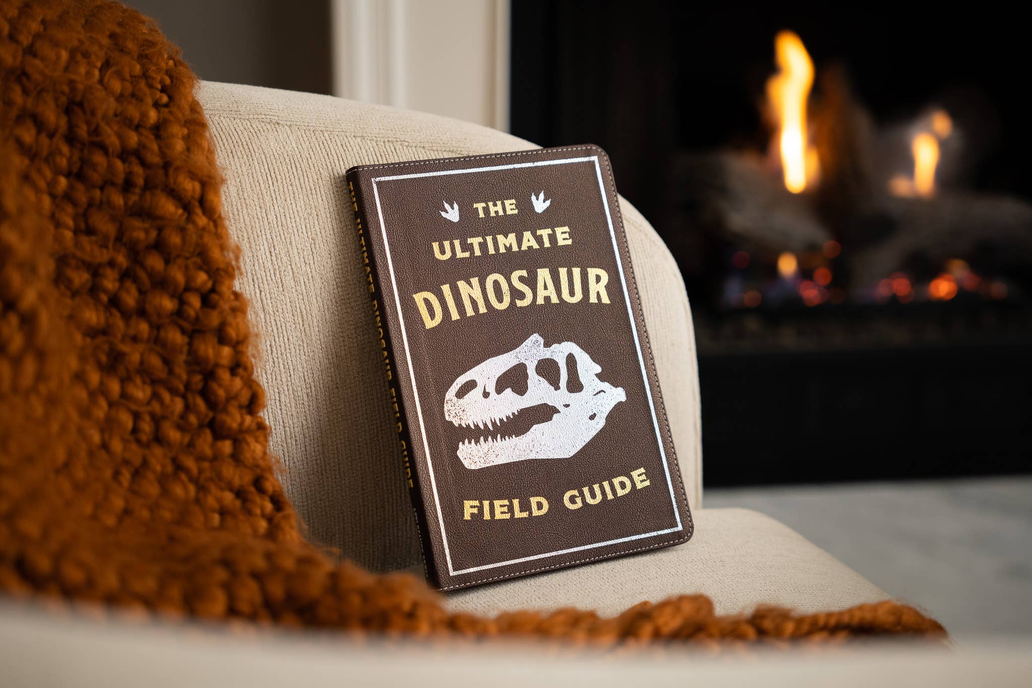 HarperCollins Focus - Wholesale Reference - Ultimate Dinosaur Field Guide Illustrated by Csotonyi9