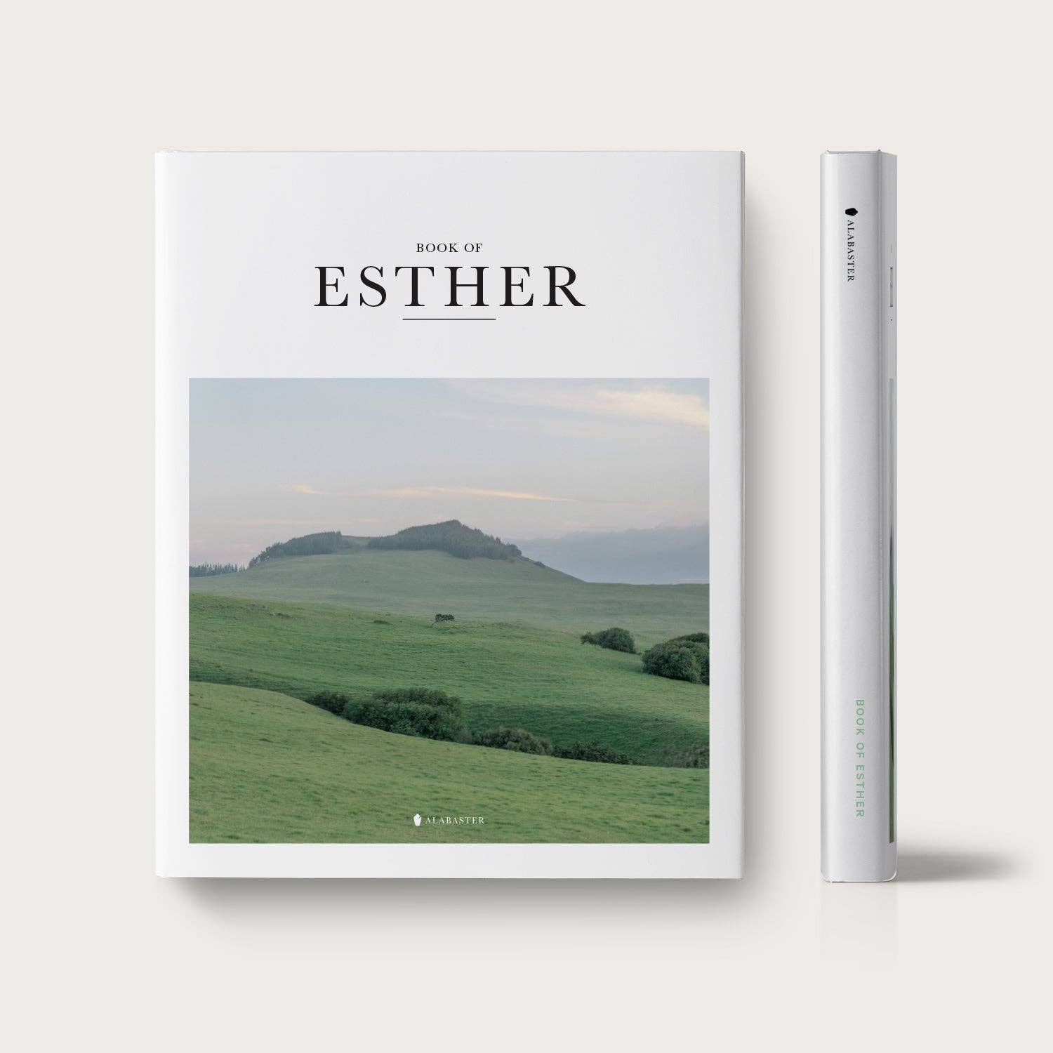 Alabaster Co - Wholesale Religion Book - The Book of Esther0