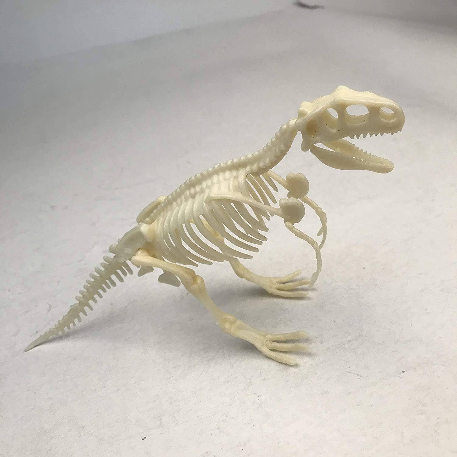 Texas Toy Distribution - Wholesale Build-a-Toy - Kids - Dinosaur Skeleton Realistic Model Assembly Peggable Kits5