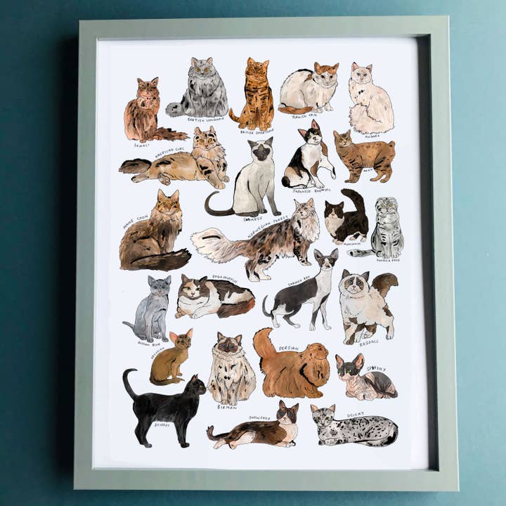 Cat Breeds Art Print | Greeting Card for wholesale by Where The Wildlings Roam