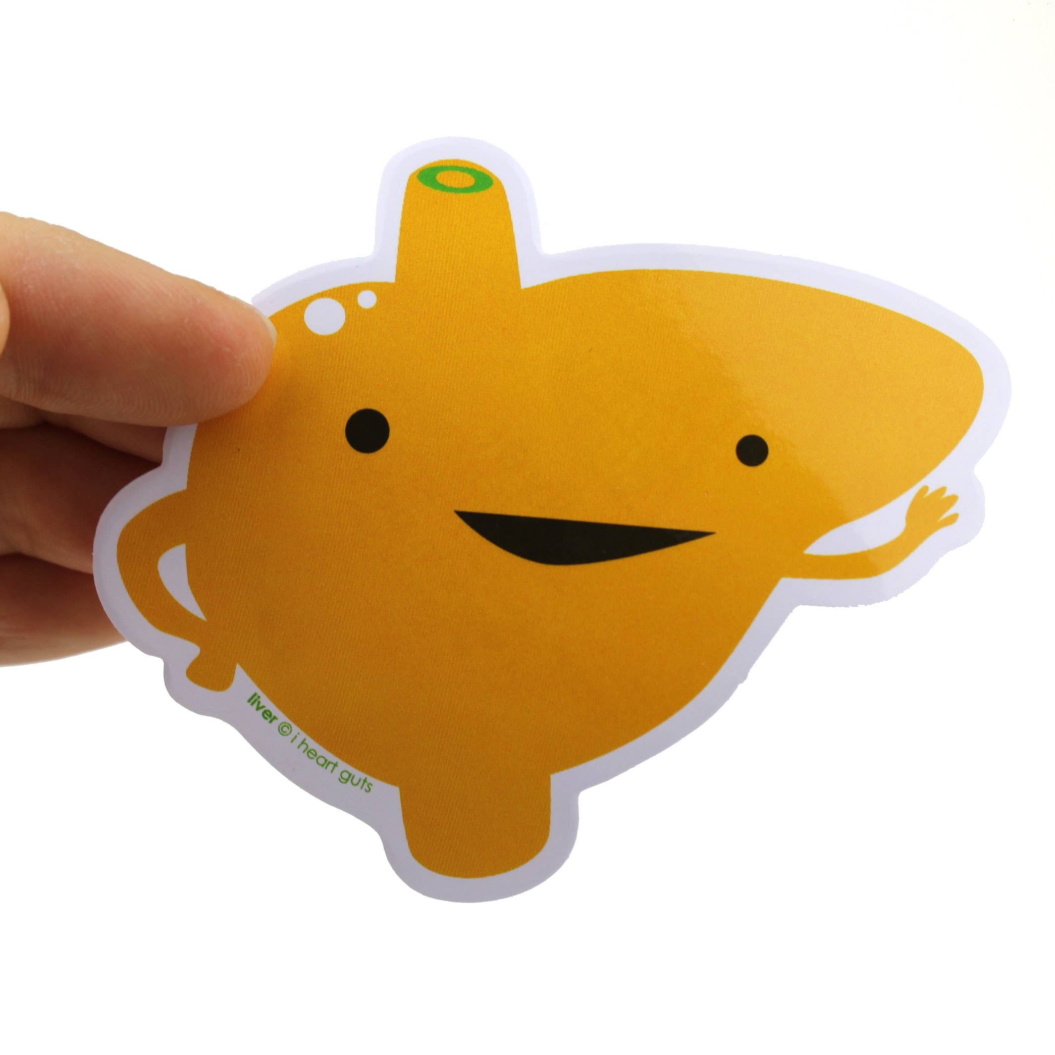 I Heart Guts | Organ Plushies Wholesale - Wholesale Sticker - Giant Guts Sticker Set - 15 Organs and Friends8