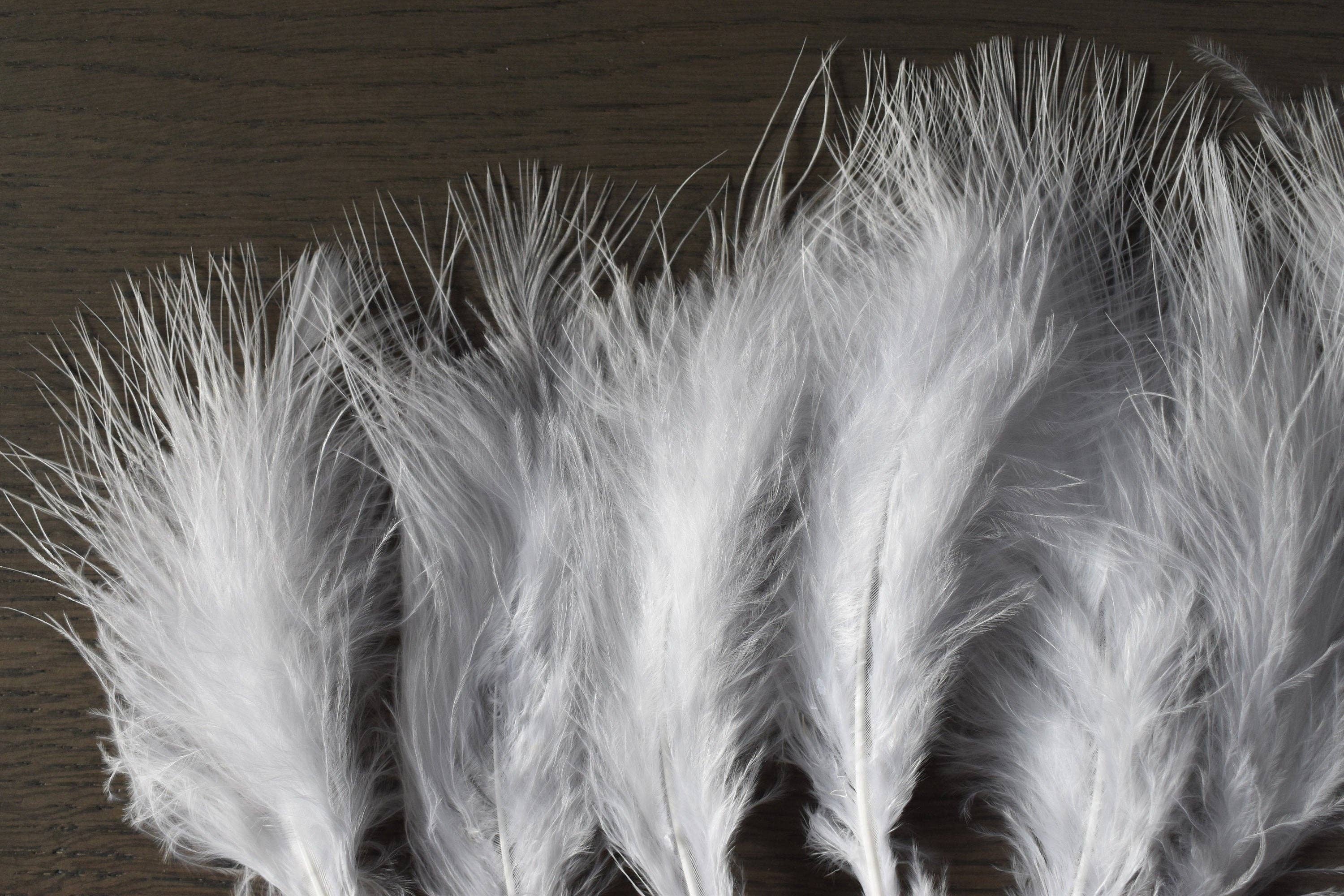 Plumes Naturelles - Wholesale Feathers - Ostrich feathers3