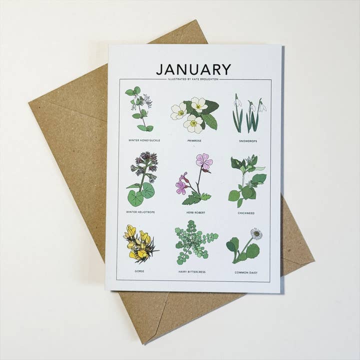 Illustrated month card - seasonal wild plants & flowers for wholesale by Kate Broughton