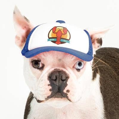 PupLid - Wholesale Pet Hat - Dog - Lobster Standard or Namedrop | Trucker Hat for Dogs42