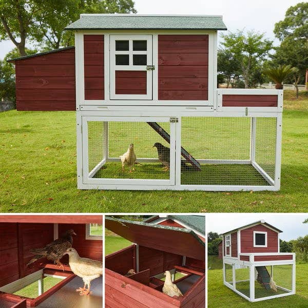 Caitec Inc - Wholesale Bird House - Featherland Paradise Outdoor Bird Habitat7