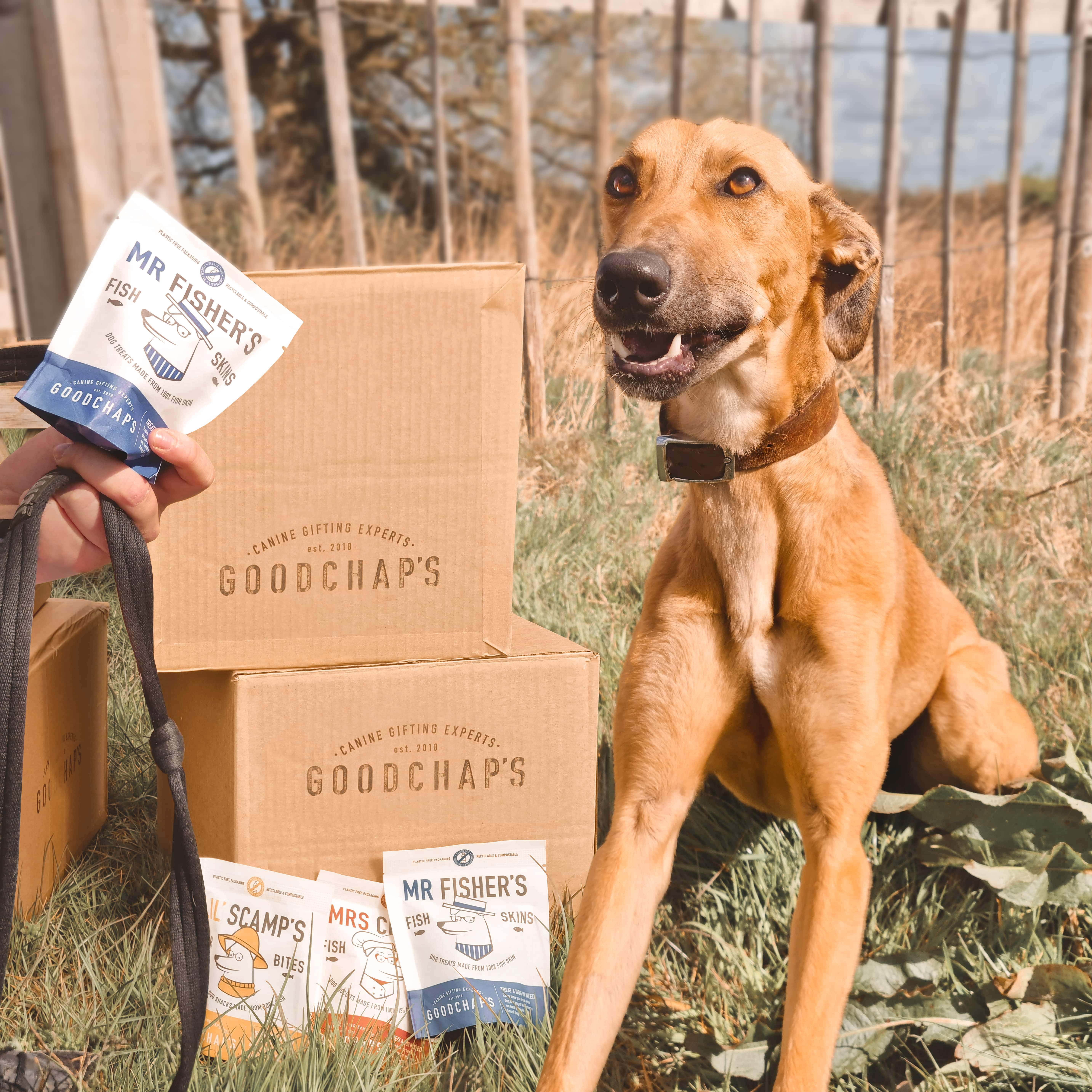 Goodchap's – snacks e guloseimas - Cão por atacado – Peles de Peixe do Sr. Fisher | Guloseimas Naturais para Cães11