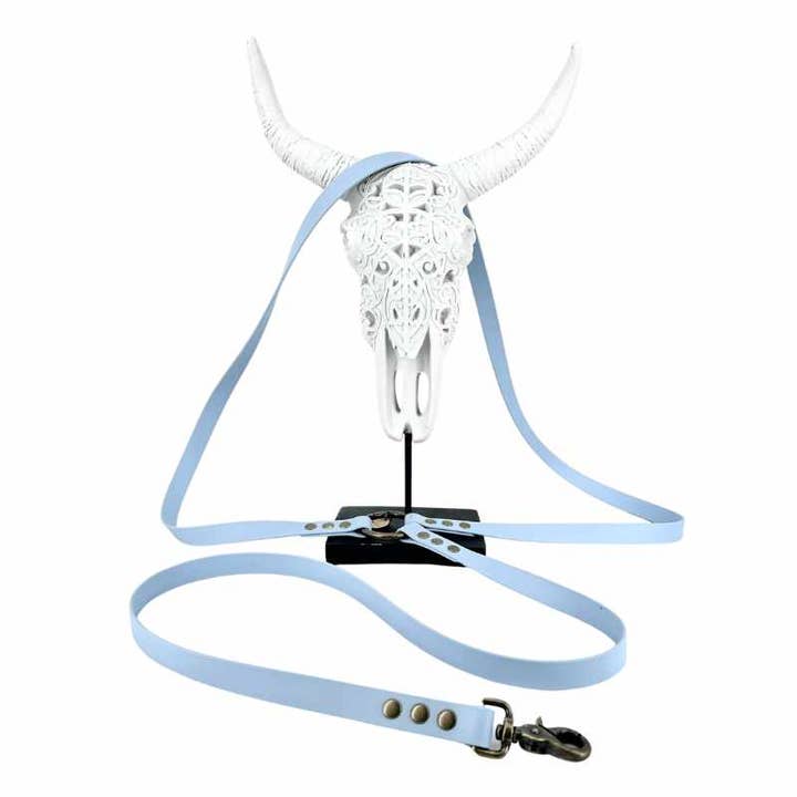 BIOTHANE HANDS-FREE dog leash - SKY for wholesale by KITSUNE.DOG